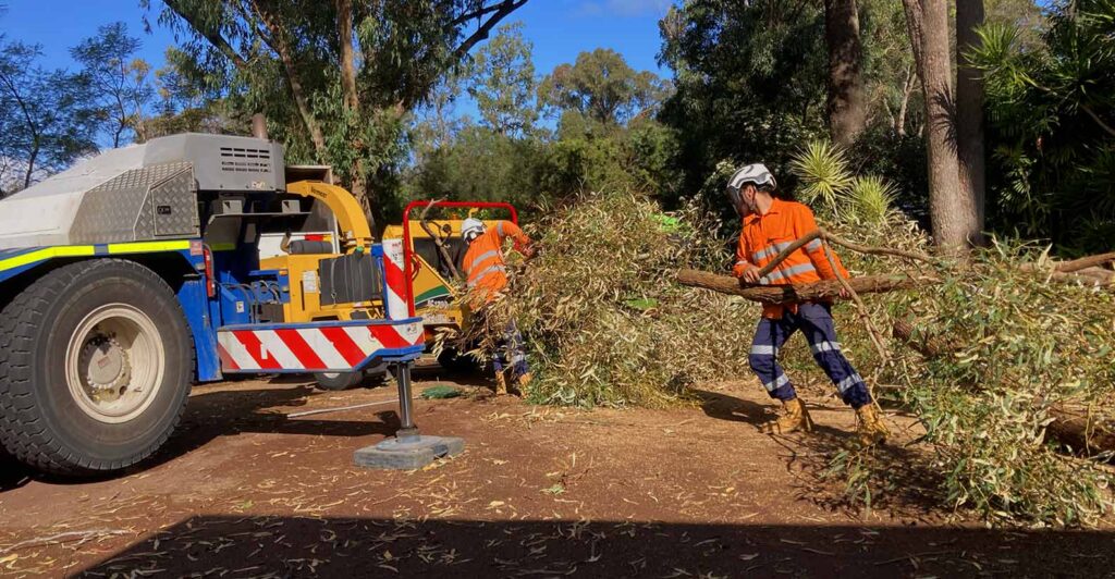 Land Clearing Services