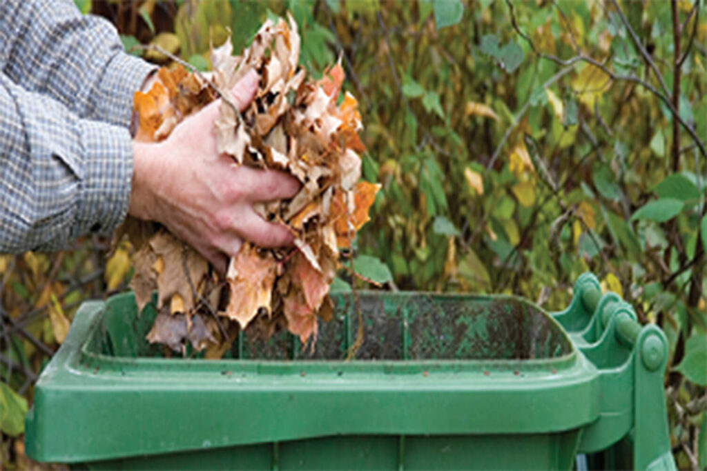 Green Waste Removal