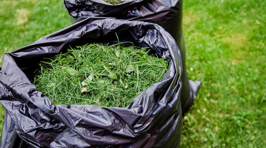 Green Waste Removal Company