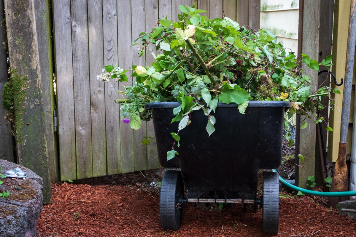 Green Waste Removal Company