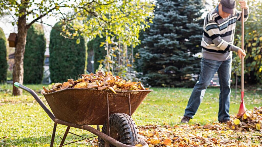 Green Waste Removal