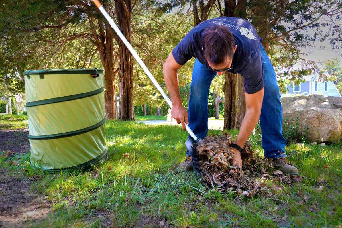 Green Waste Removal