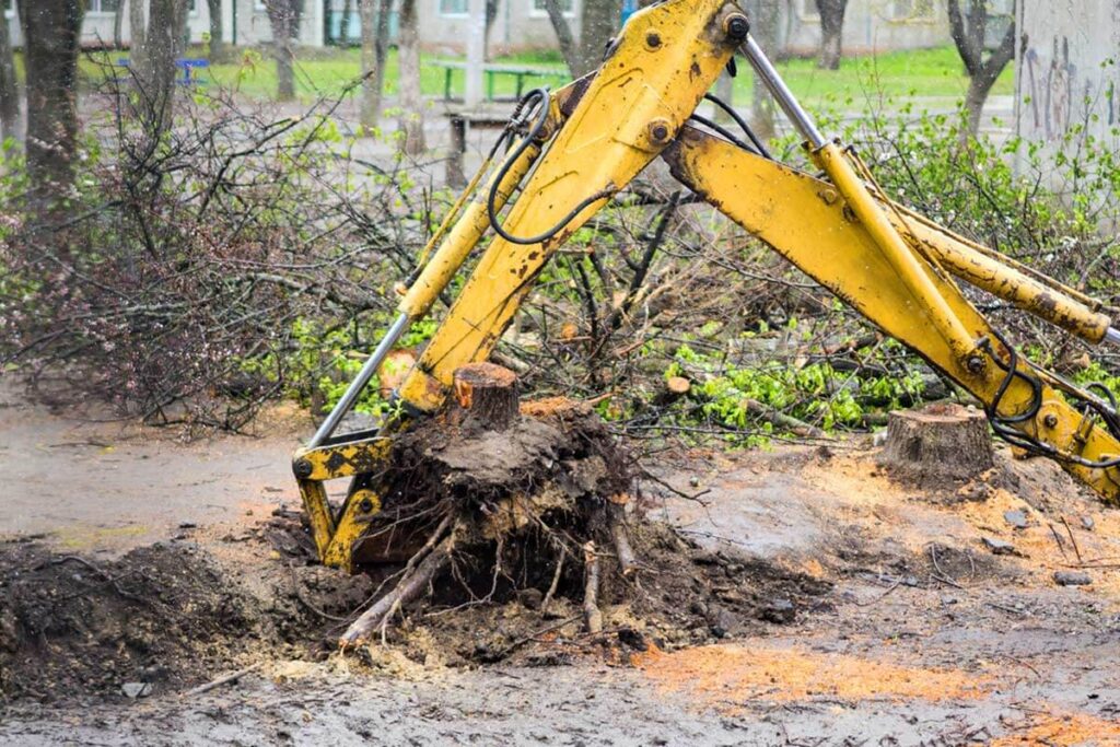 Land Clearing Services