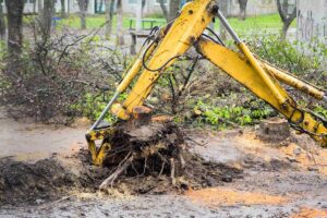 emergency tree removal sydney